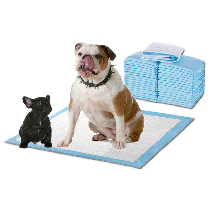 PaWz 100 Pcs 60x60cm Ultra Absorbent Puppy Pet Dog Cat Toilet Training Pads Blue