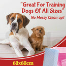 PaWz 100pcs 60x60cm Puppy Pet Dog Indoor Cat Toilet Training Pads Absorbent Pink