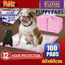PaWz 100pcs 60x60cm Puppy Pet Dog Indoor Cat Toilet Training Pads Absorbent Pink