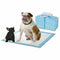 PaWz New 200pcs 60x60cm Puppy Pet Dog Indoor Cat Toilet Training Pads Absorbent