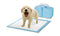 PaWz 400pcs 60x60cm Puppy Pet Dog Indoor Cat Toilet Training Pads Absorbent New