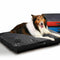 2x PaWz Pet Bed Mattress Dog Cat Pad Mat Summer Winter Cushion Pillow L Black