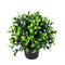 Small Potted Artificial Jasmine Plant UV Resistant 20cm
