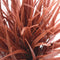 Artificial Ornamental Potted Dense Burgundy Grass 38 cm