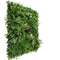 Vista Green Vertical Garden Green Wall UV Resistant 100cm x 100cm